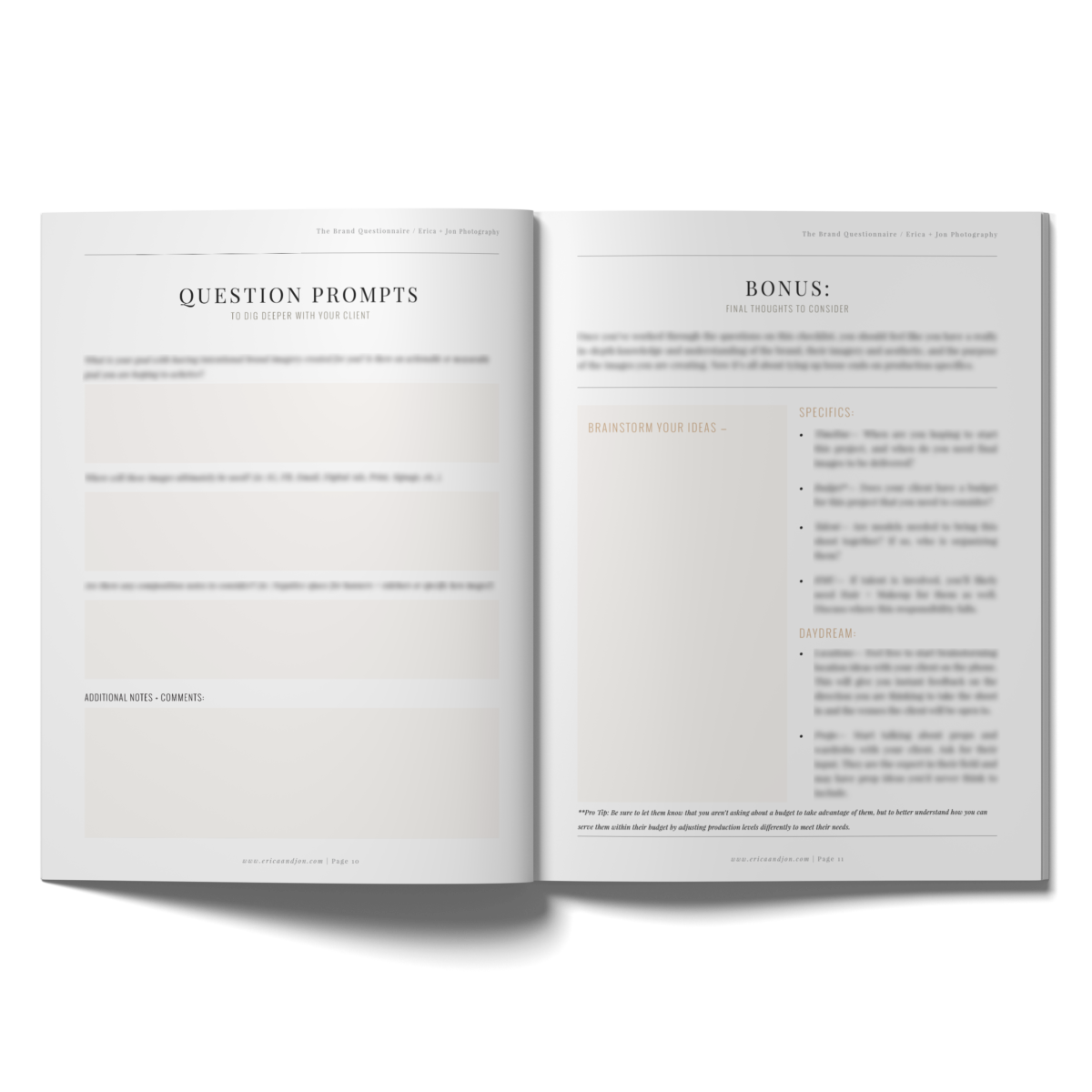 The Brand Questionnaire Erica + Jon Photography